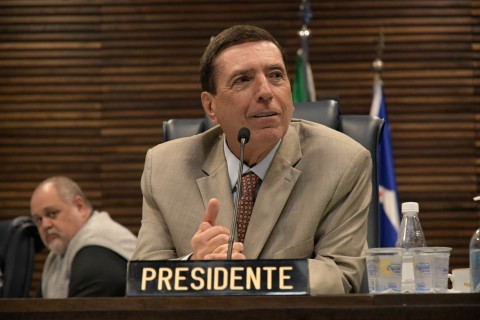 Câmara aprova projeto de Martello que institui o Plano Municipal de Arborização Urbana