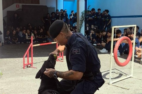 GCM realiza apresentação do Canil para alunos de colégio do Jardim Tranquilidade