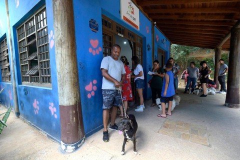 Prefeitura realiza nova etapa de castração gratuita de cães e gatos