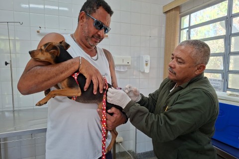 Vacinação de cães e gatos contra a raiva ocorre nesta quinta-feira no CCZ de Guarulhos